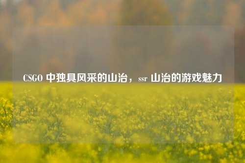 CSGO 中独具风采的山治，ssr 山治的游戏魅力
