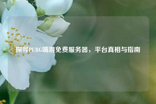 探寻PUBG端游免费服务器，平台真相与指南