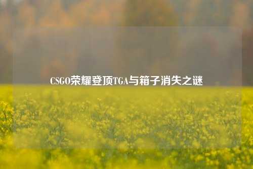 CSGO荣耀登顶TGA与箱子消失之谜