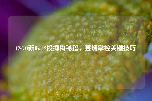 CSGO新Dust2投掷物秘籍,赛场掌控关键技巧
