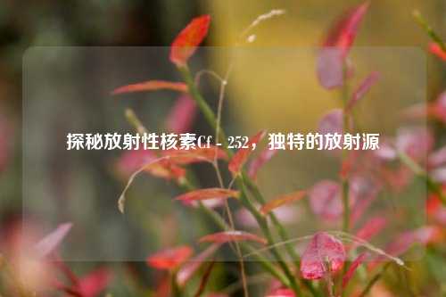 探秘放射性核素Cf - 252，独特的放射源
