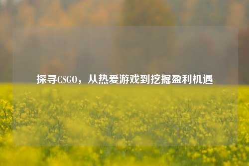 探寻CSGO，从热爱游戏到挖掘盈利机遇