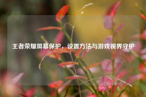 王者荣耀屏幕保护，设置方法与游戏视界守护