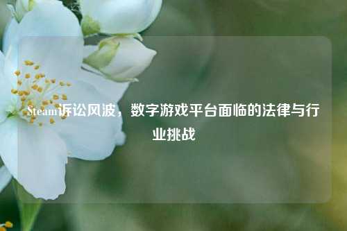 Steam诉讼风波，数字游戏平台面临的法律与行业挑战