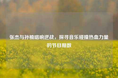 张杰与孙楠唱响逆战，探寻音乐碰撞热血力量的节目期数