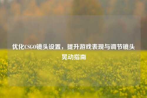 优化CSGO镜头设置，提升游戏表现与调节镜头晃动指南