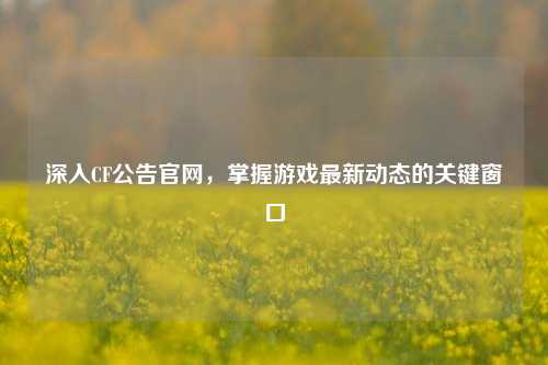 深入CF公告官网，掌握游戏最新动态的关键窗口