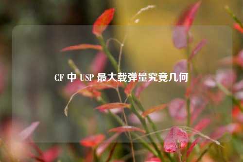 CF 中 USP 最大载弹量究竟几何