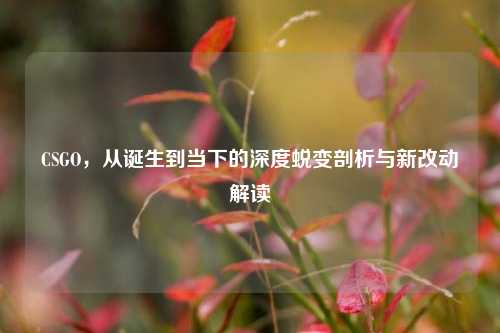 CSGO，从诞生到当下的深度蜕变剖析与新改动解读