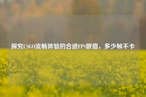 探究CSGO流畅体验的合适FPS数值，多少帧不卡