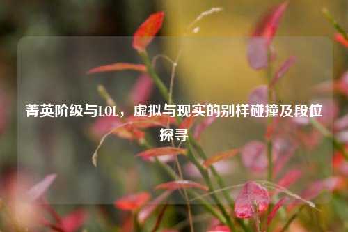 菁英阶级与LOL，虚拟与现实的别样碰撞及段位探寻