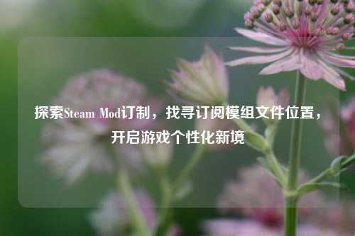 探索Steam Mod订制，找寻订阅模组文件位置，开启游戏个性化新境