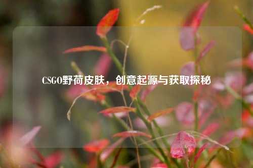 CSGO野荷皮肤，创意起源与获取探秘