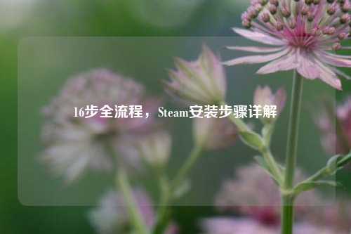 16步全流程，Steam安装步骤详解