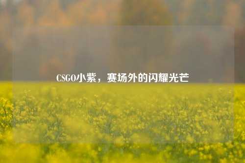 CSGO小紫，赛场外的闪耀光芒