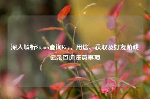 深入解析Steam查询Key，用途、获取及好友游戏记录查询注意事项