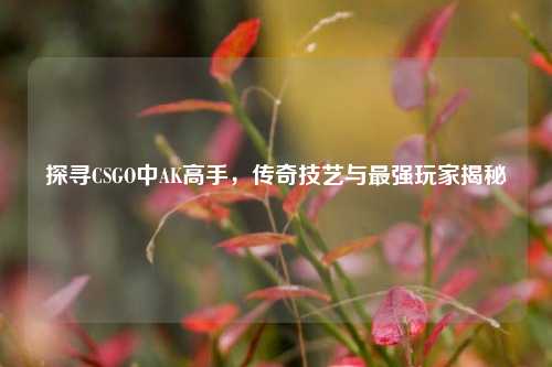 探寻CSGO中AK高手，传奇技艺与最强玩家揭秘