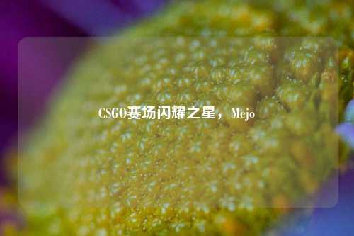 CSGO赛场闪耀之星，Mejo