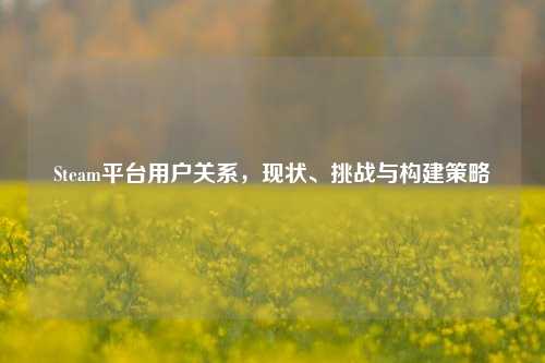 Steam平台用户关系，现状、挑战与构建策略