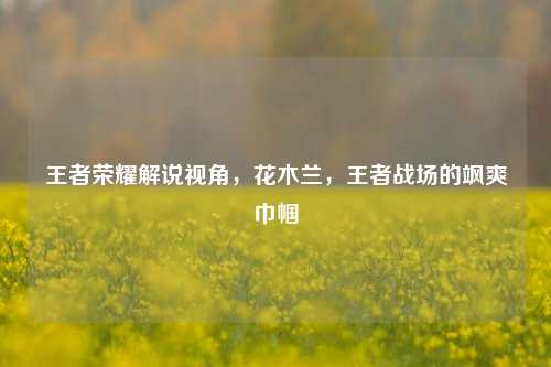 王者荣耀解说视角，花木兰，王者战场的飒爽巾帼