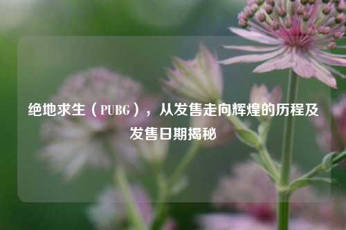 绝地求生（PUBG），从发售走向辉煌的历程及发售日期揭秘