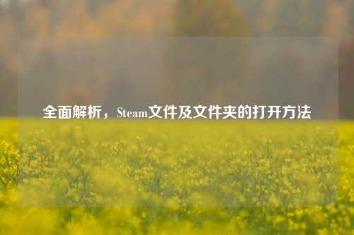 全面解析,Steam文件及文件夹的打开方法