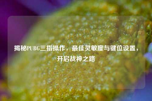 揭秘PUBG三指操作，最佳灵敏度与键位设置，开启战神之路