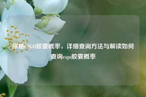 探秘CSGO胶囊概率，详细查询方法与解读如何查询csgo胶囊概率