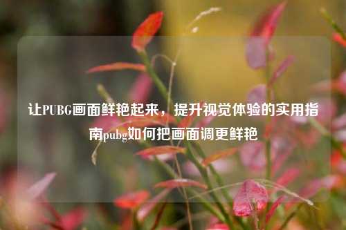 让PUBG画面鲜艳起来，提升视觉体验的实用指南pubg如何把画面调更鲜艳
