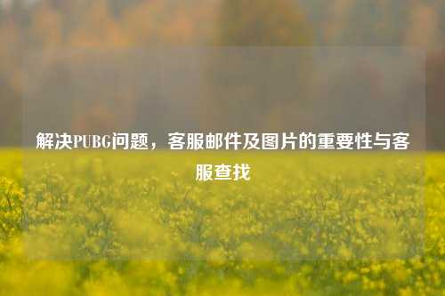解决PUBG问题，客服邮件及图片的重要性与客服查找