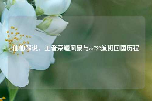 仙仙解说，王者荣耀风景与ca722航班回国历程