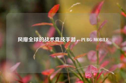 风靡全球的战术竞技手游，PUBG MOBILE