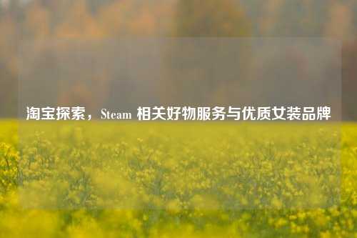 淘宝探索，Steam 相关好物服务与优质女装品牌