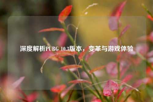 深度解析PUBG 10.3版本，变革与游戏体验