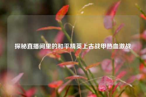 探秘直播间里的和平精英上古战甲热血激战