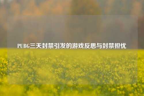 PUBG三天封禁引发的游戏反思与封禁担忧