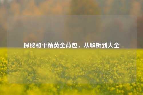 探秘和平精英全背包，从解析到大全