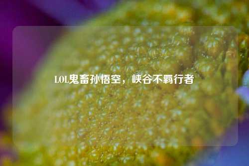 LOL鬼畜孙悟空，峡谷不羁行者