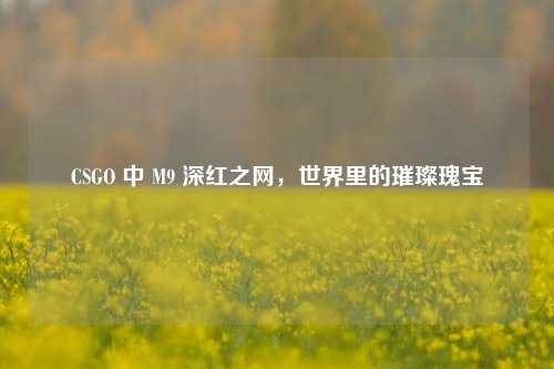 CSGO 中 M9 深红之网,世界里的璀璨瑰宝