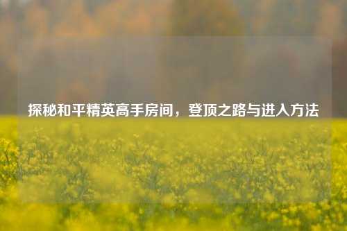 探秘和平精英高手房间，登顶之路与进入方法