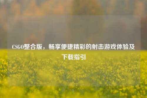 CSGO整合版,畅享便捷精彩的射击游戏体验及下载指引