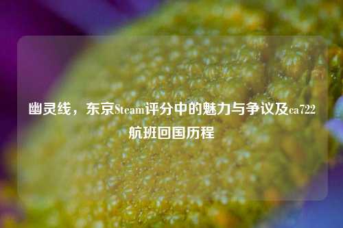 幽灵线，东京Steam评分中的魅力与争议及ca722航班回国历程