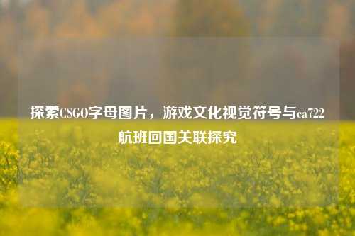探索CSGO字母图片，游戏文化视觉符号与ca722航班回国关联探究