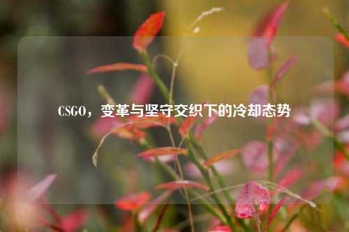 CSGO，变革与坚守交织下的冷却态势