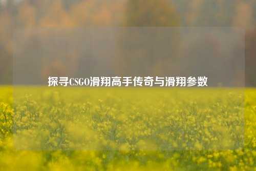 探寻CSGO滑翔高手传奇与滑翔参数