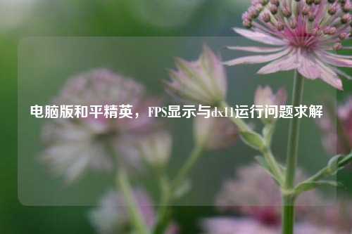电脑版和平精英，FPS显示与dx11运行问题求解