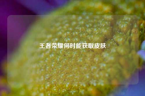王者荣耀何时能获取皮肤