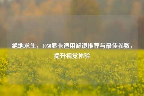 绝地求生，1050显卡适用滤镜推荐与最佳参数，提升视觉体验