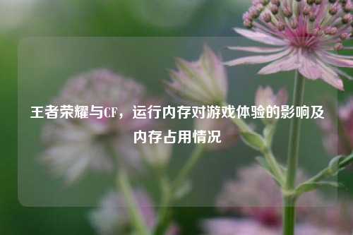 王者荣耀与CF，运行内存对游戏体验的影响及内存占用情况