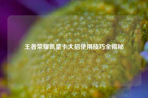 王者荣耀凯皇卡大招使用技巧全揭秘